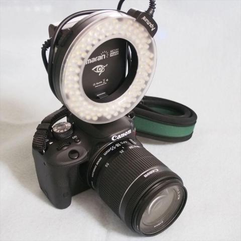 合体した状態でも使用可能