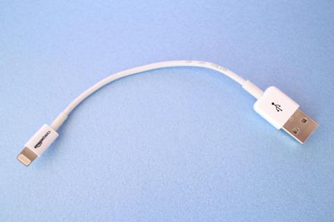 長さ10cmのショートタイプ