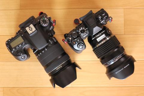 上から見ると一回り小さいのがわかる