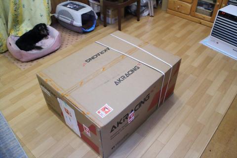 開梱のためにリビングへ