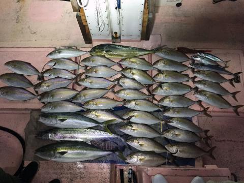 ナガマサの実績