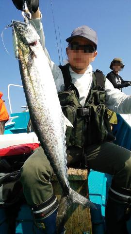 サワラをゲット!