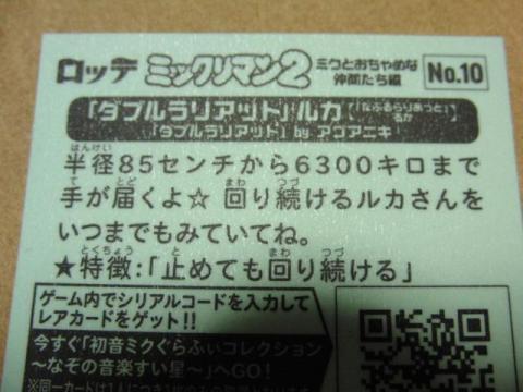 写真2 ダブルラリアットルカの解説