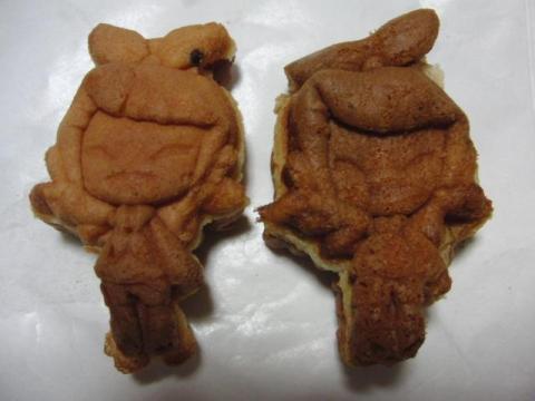 写真11 同じキャラ