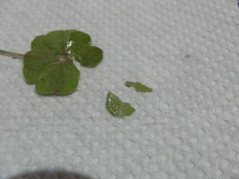 写真4 破損部品