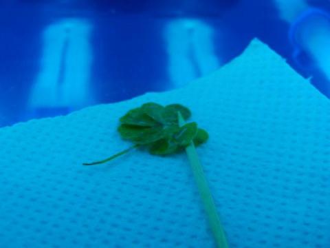 写真6 正面5分の4到達