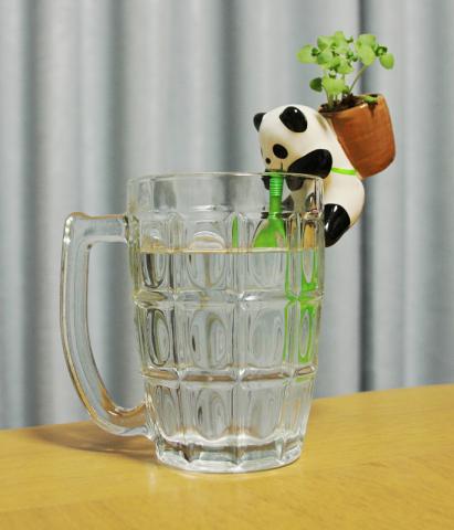 地上高2cmくらい