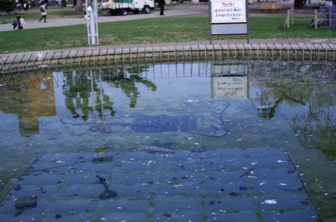 偏光フィルター使用例。手前は水面からの反射がなくなってる