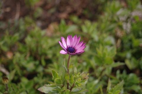 夜間撮影でもここまで明るくなります。広角レンズゆえ、1/20secという低速でもどうにか手持ち撮影できました。