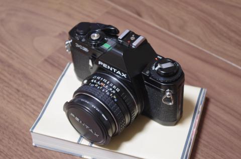 なかなか程度の良い個体