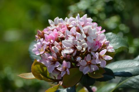 商業写真みたい