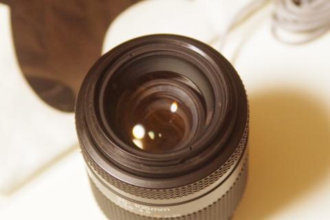 135mmで目いっぱいまで接近