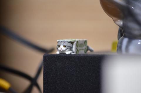 ニコンD5100+70-200mm