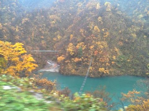 宇奈月トロッコ電車からの紅葉