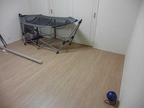 ホームスターを眺めたり