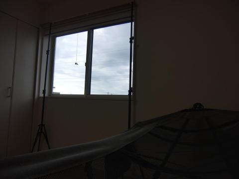 ぼーっと空を見たり