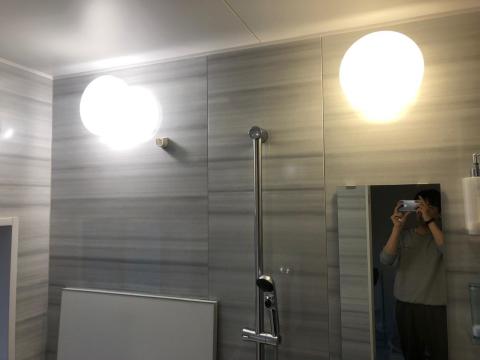 左:LED、右:蛍光