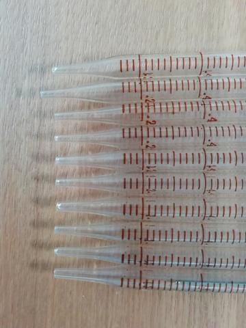 上から2番目、先端が長い