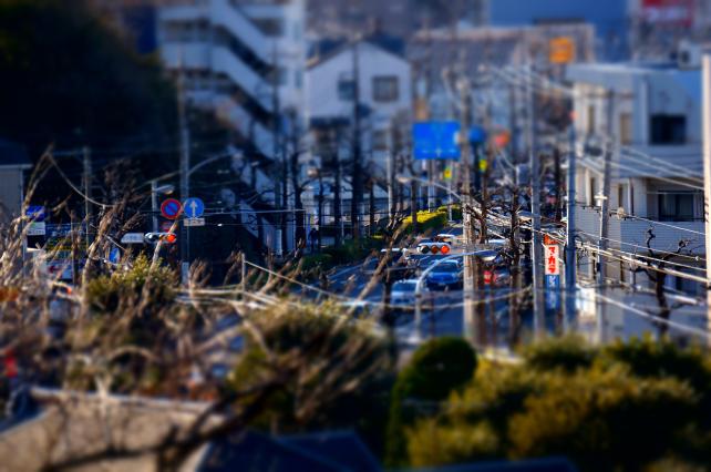 「トイカメラ効果」使用