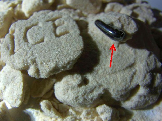 「宝物」って感じじゃないよねー..