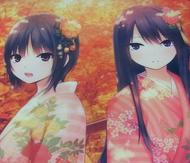 やっぱ、澄香ちゃんの方が好みだワ