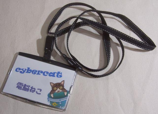 こーゆーつかいかた?