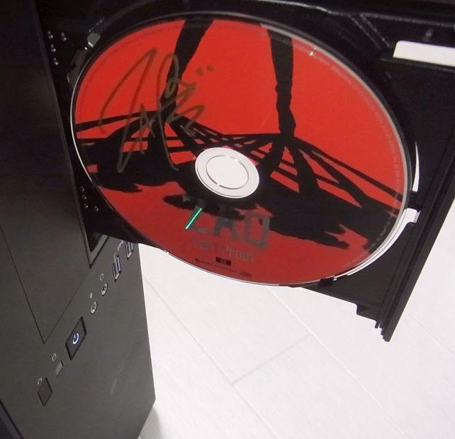 特に大きな爪があるわけではないのだが、吸い付くように「立つ」