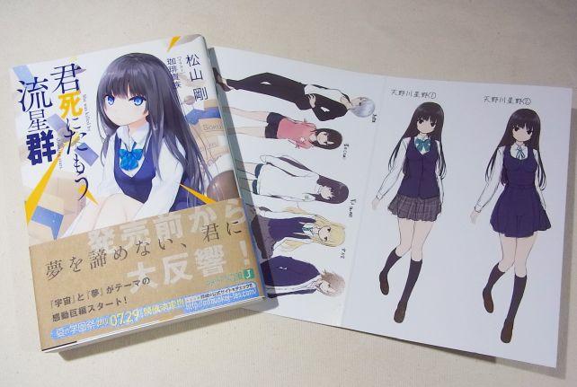 まぁ、なんだかんだ言って珈琲貴族先生の設定資料つきの店舗特典同梱版を入手しているわけですが。