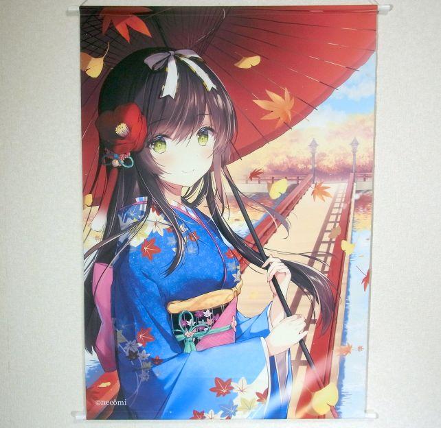 縦70cm以上あるので結構でかい。