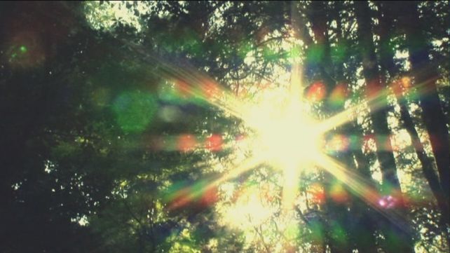 イメージビデオの前半は公園のような場所で延々と風景を映した画像