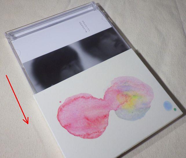 ②プラケースの「8割」ほどの3方背外ケースがついていて、「履かせる」と白黒の写真が見えなくなる