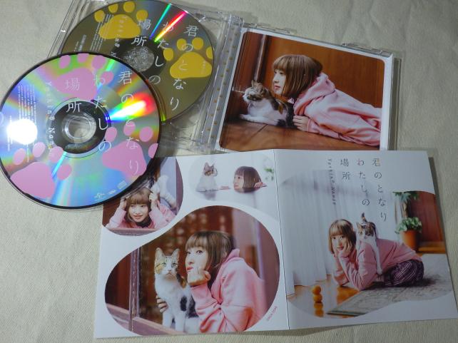 MVに出てくる猫と一緒