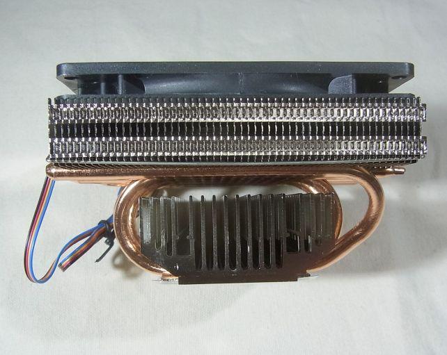 その分結構頭でっかち