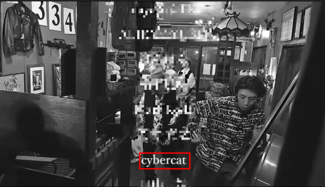 cybercatの名も(本名らしき人もいるので加工してます)