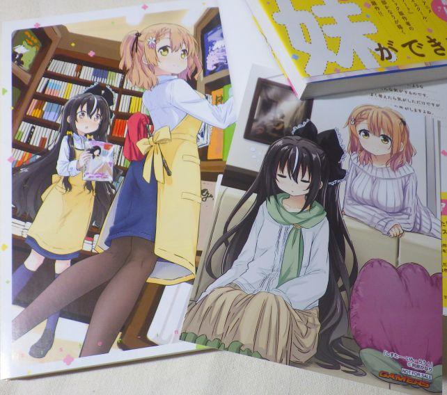 (黒髪)との主人公ペア