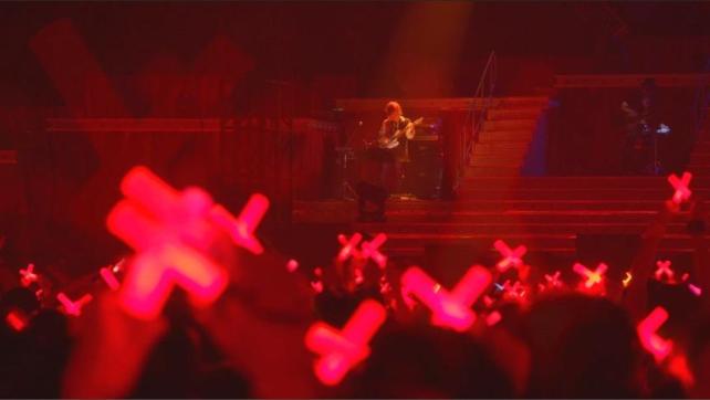 イントロで気づいて、ペンライトをXするP達