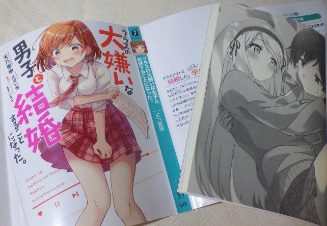 実は本作、初版はカバーが両面印刷なので、さらにもう一種カバーがある