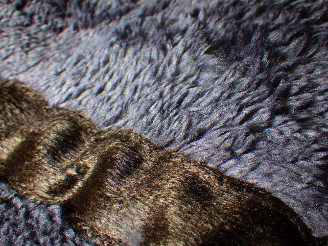 毛足は長めで暖かかった