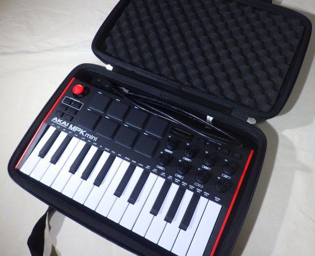 ピタピタではいった!