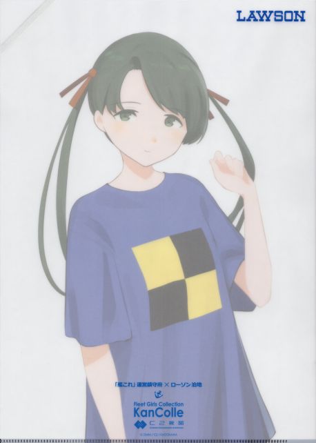 ファイルの裏は最近の定番、薄色印刷のアップ絵