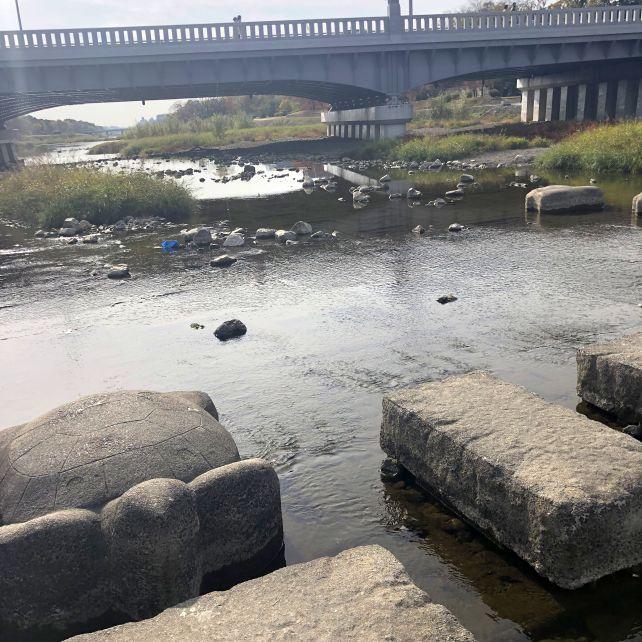 もち蔵がたまこに告白したのはこのあたりかな...