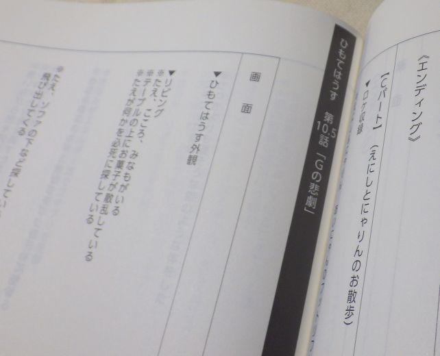 もちろん10.5話の台本も収められている