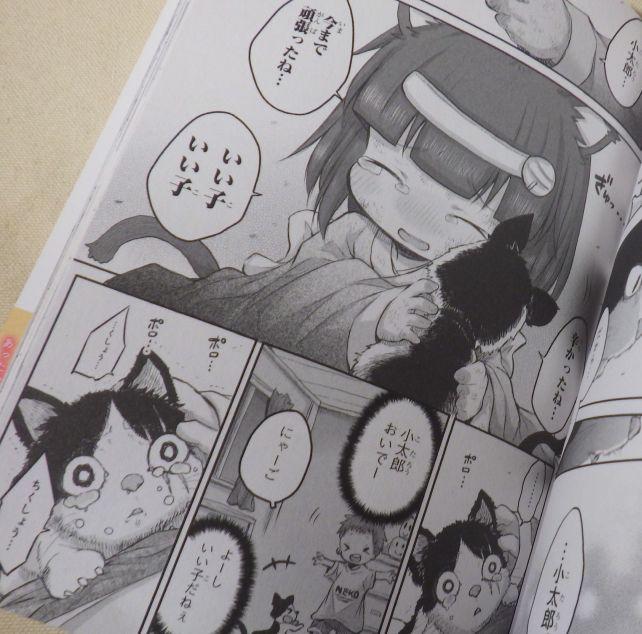 小太郎(野良猫)も捨てられたのだった....