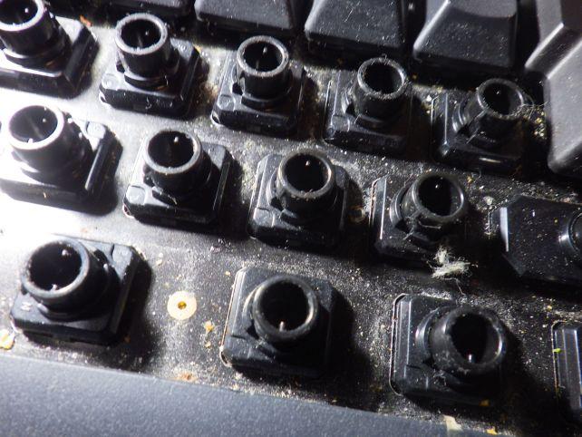 大小のホコリがすごいな