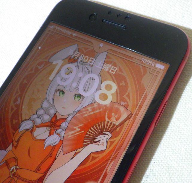 全く判らなくなった(ま、写真だと貼り付け前でもよくワカランが...)