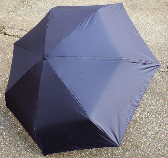 風に強いという事だが意外なことに骨は7本