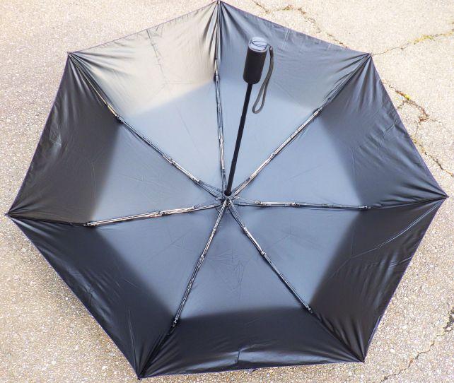 骨が少ないと風に弱そうに思えるが....