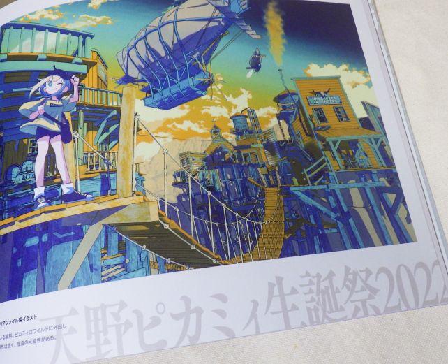 ピカミィだけに独立ページが設けられている