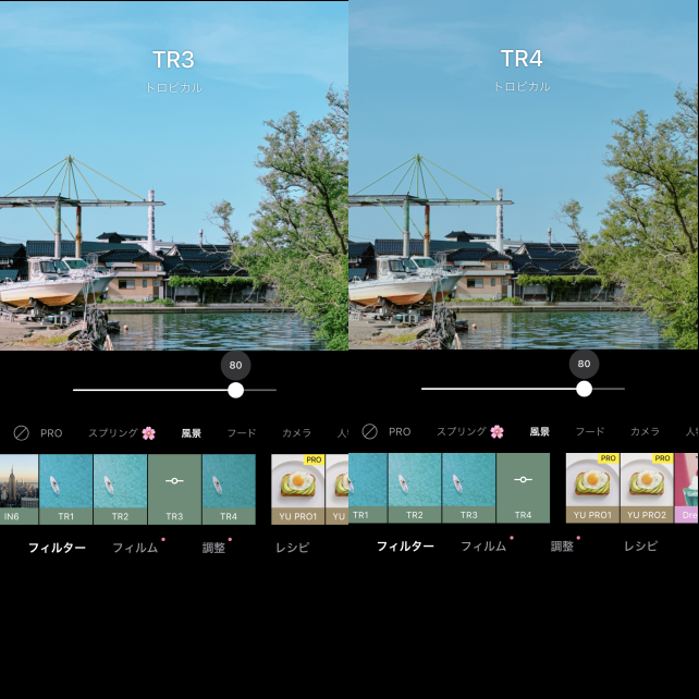 TR(トロピカル)の3と4。TR3は彩度低めの写真が鮮やかに仕上がる。