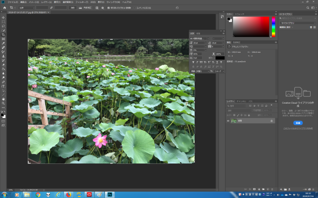 ▲Adobe Photoshop CC 2019